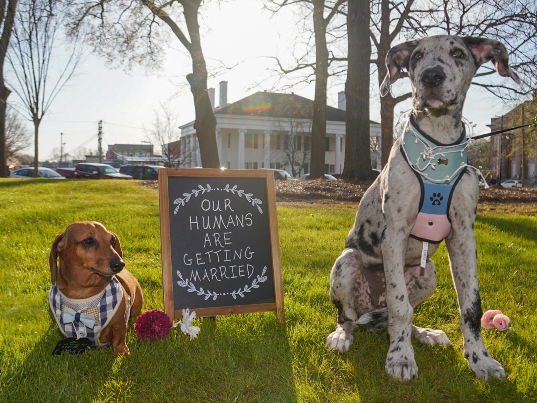 The Wedding Website of Samuel Lemaster and Monica Carpenter