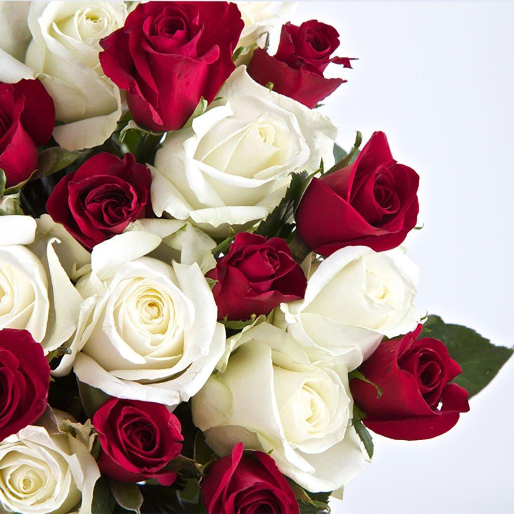 The Wedding Website of Corinne Hofmann and Patrick Martin Jr.