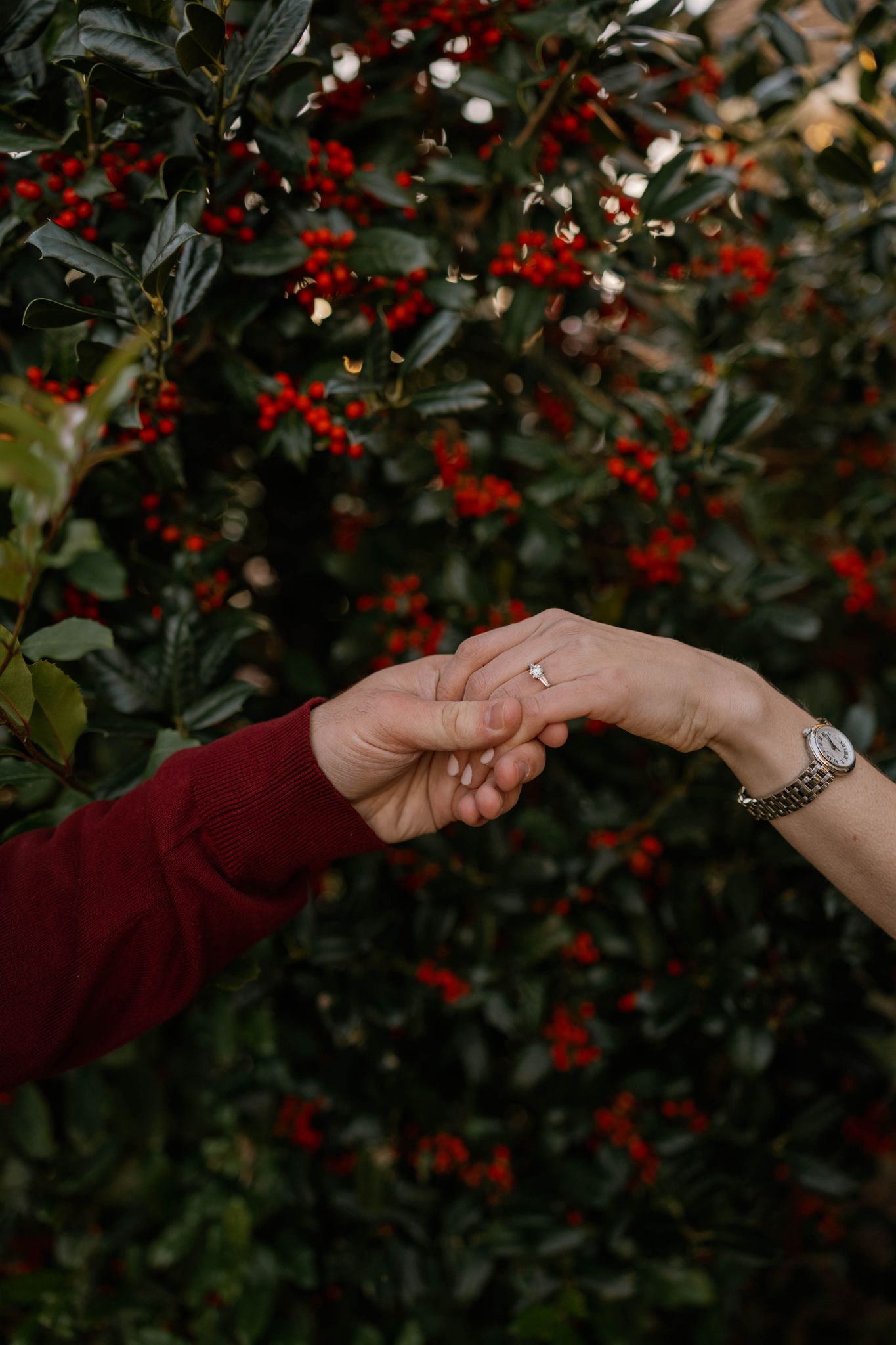 The Wedding Website of Adam Finger and Elaina Clifford
