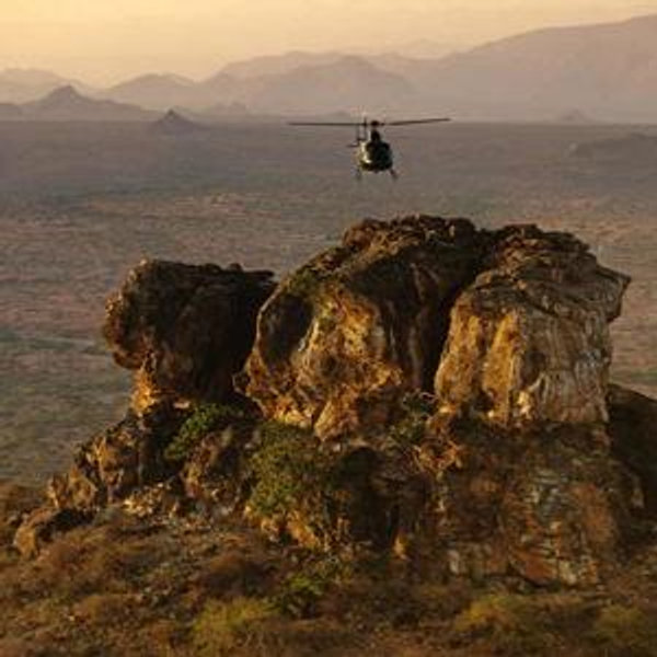 Sasaab Helicopter Safari: Ancient Cycads, Sacred Mountain & Baby Elephants