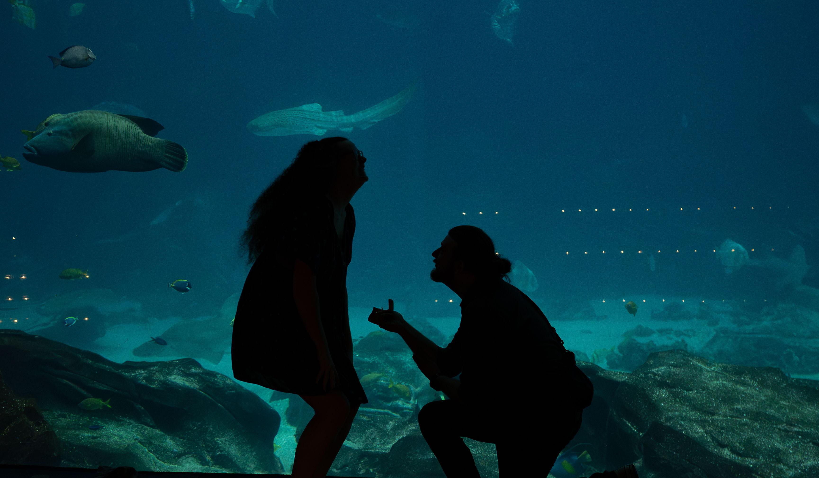 Footer image