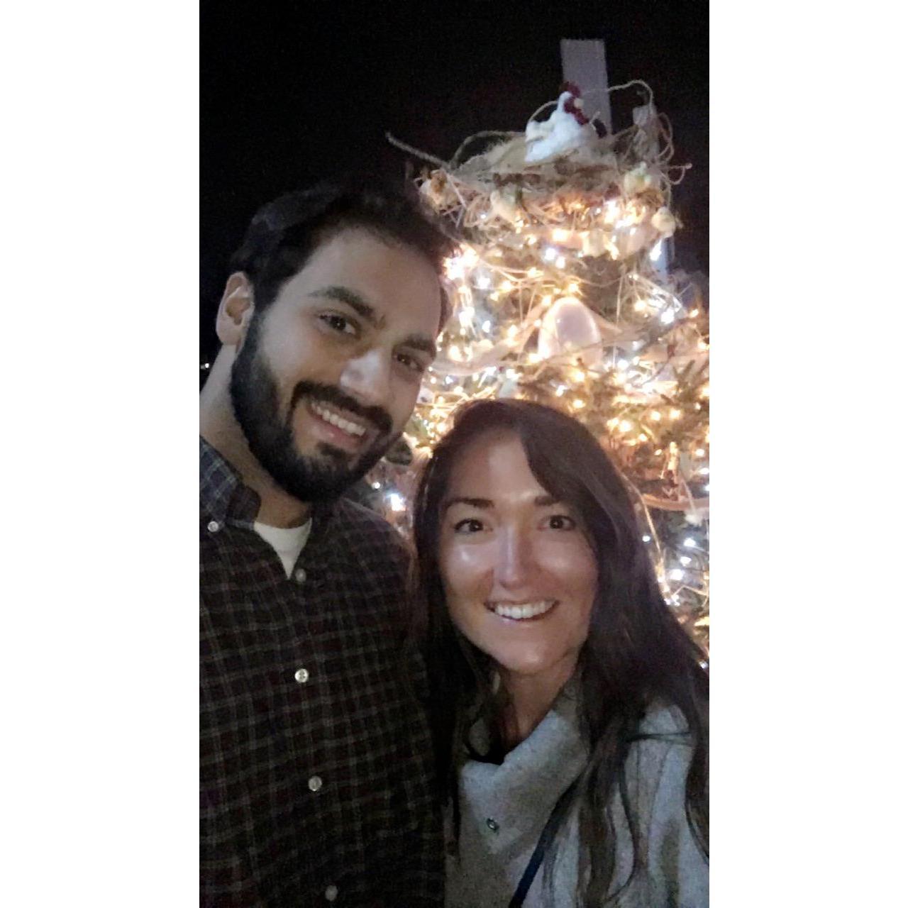 Christmas Tree Alley, Tuscaloosa AL 2017
