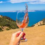 Dudley Wines