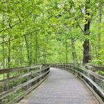 Hike Saunders-Monticello Trail