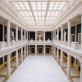 Carnegie Museum of Art & Natural History