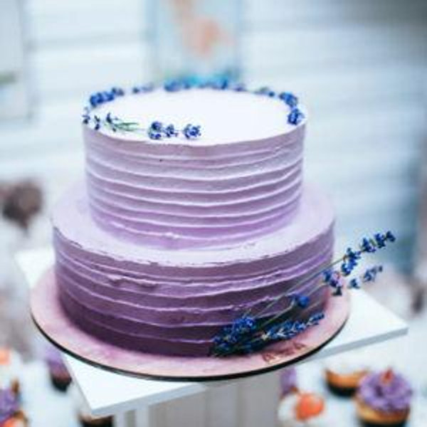 🍰 Wedding Cake Fund