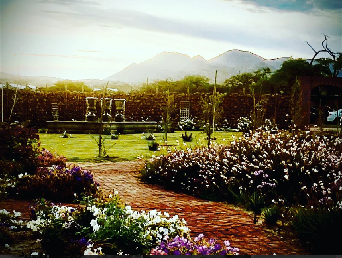 The Wedding Website of Audrey Strauss and Clifford Ganaseb