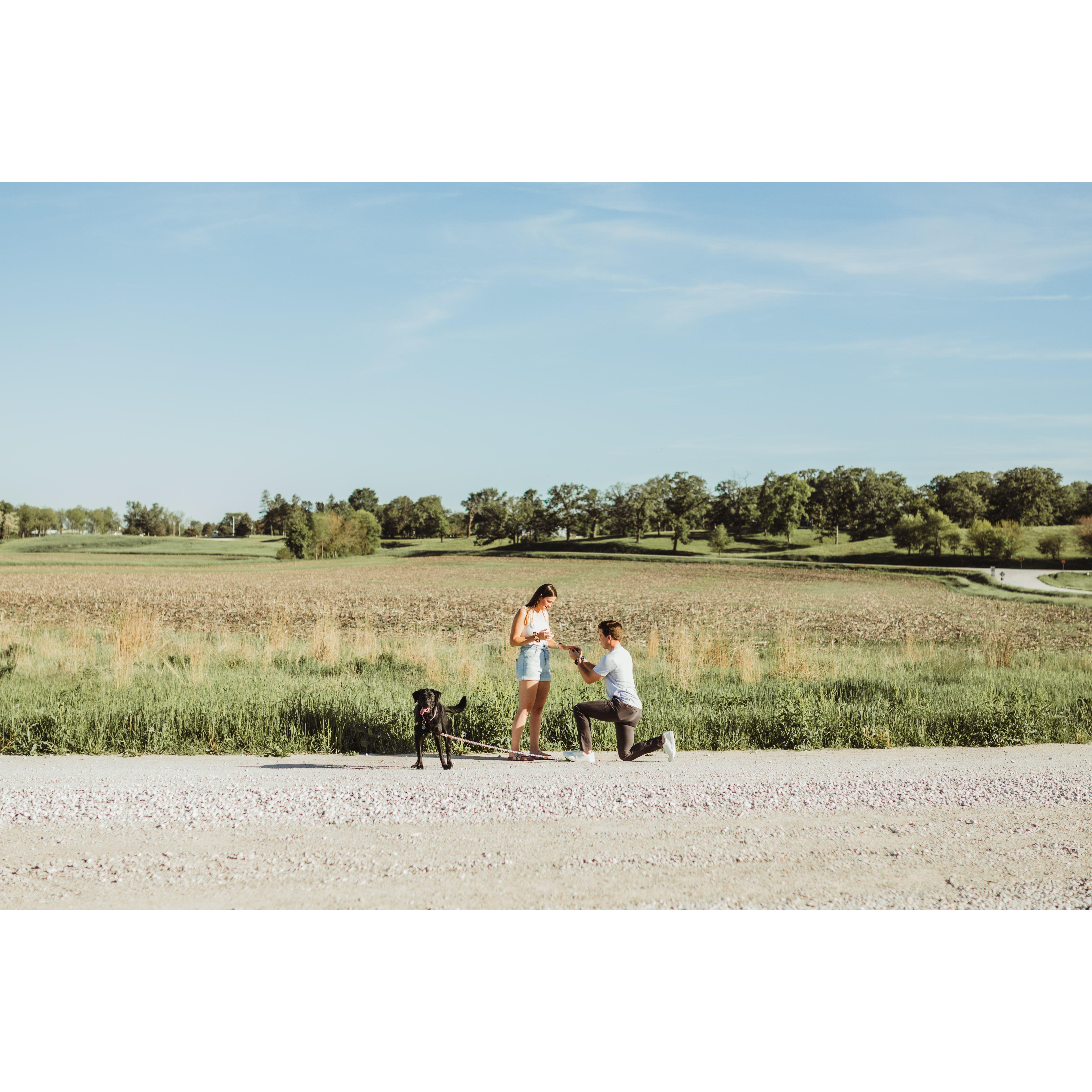 Renee DuToit Photography