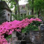 Winterthur Museum, Garden and Library