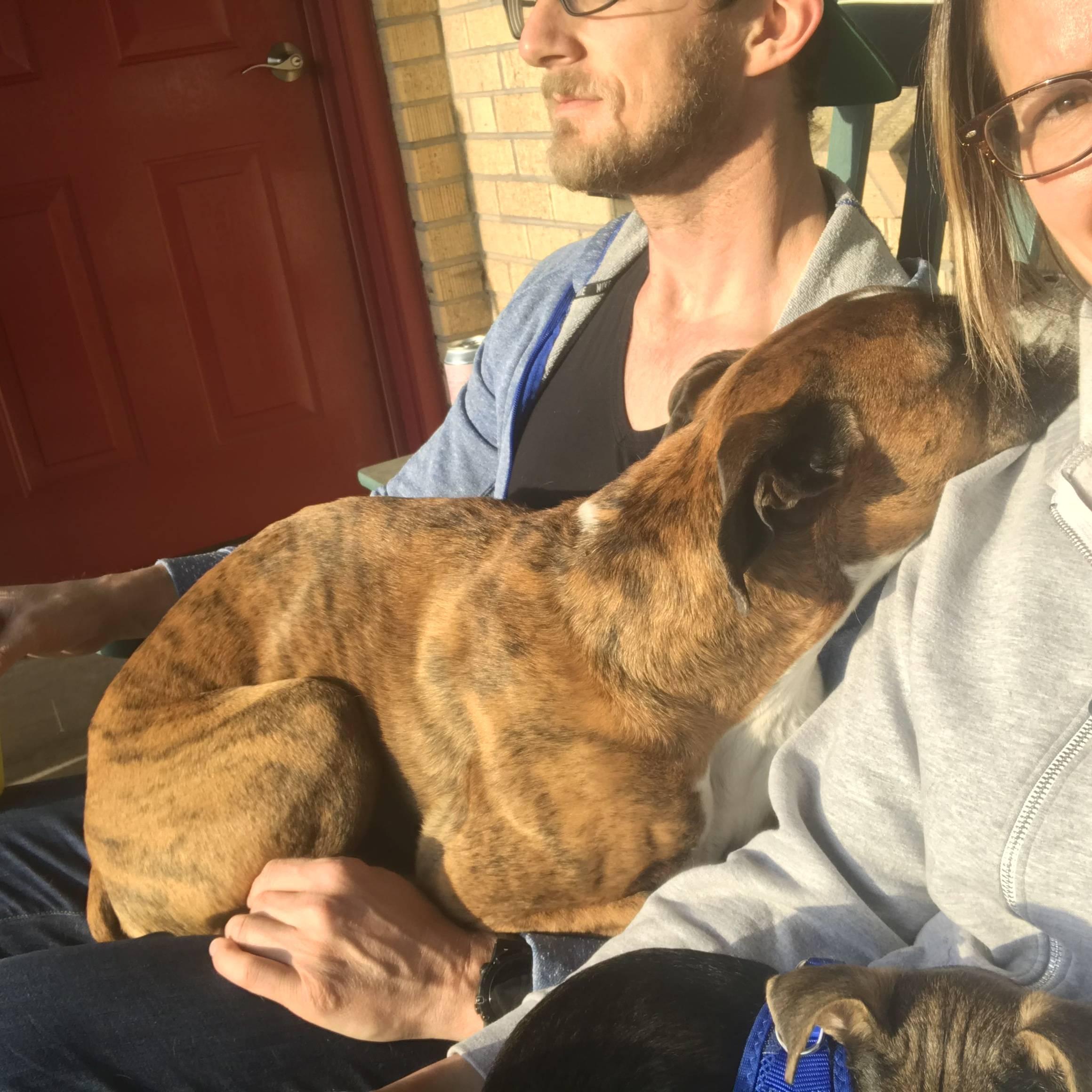 Porch snuggles