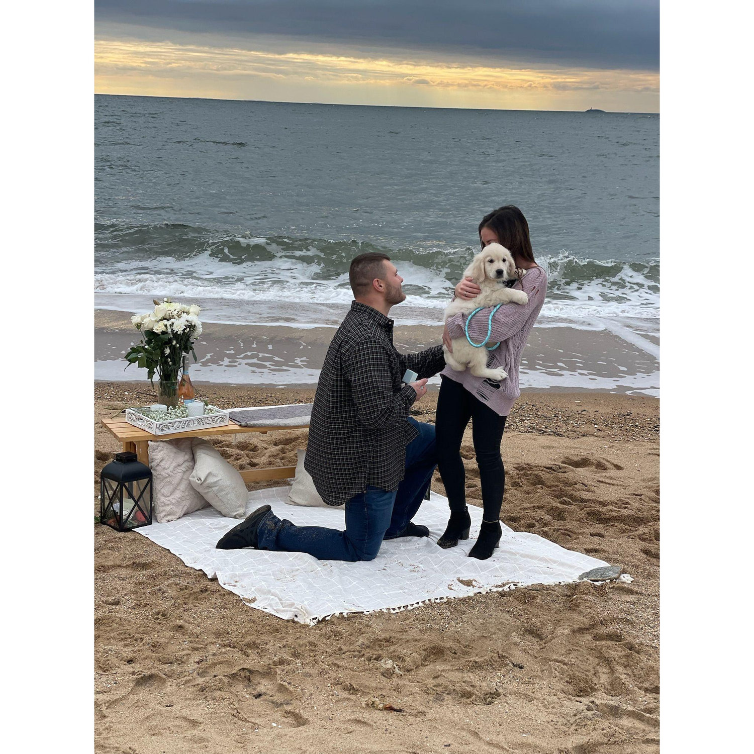 The day he proposed