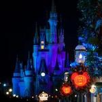 Disney's Magic Kingdom Toll Plaza