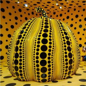 Yayoi Kusama Museum Entry for 2