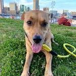 Federal Hill Park