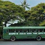 Kualoa Ranch: Movie Sites and Ranch Tour