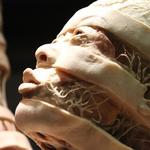 BODIES | The Exhibition
