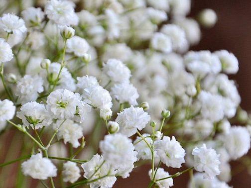The Wedding Website of Cody Loncaric and Darcy Miller