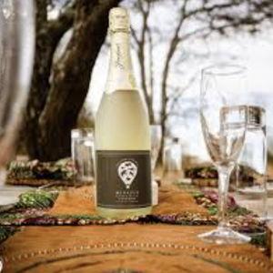 Champagne Toast in Tarangire National Park