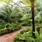 Lincoln Park Conservatory