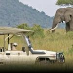 Aquila Private Game Reserve