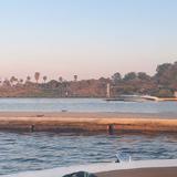 Dog Beach