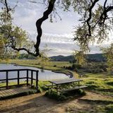 Peña Adobe Regional Park