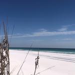 The Beach