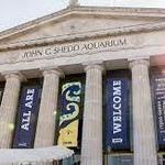 Shedd Aquarium