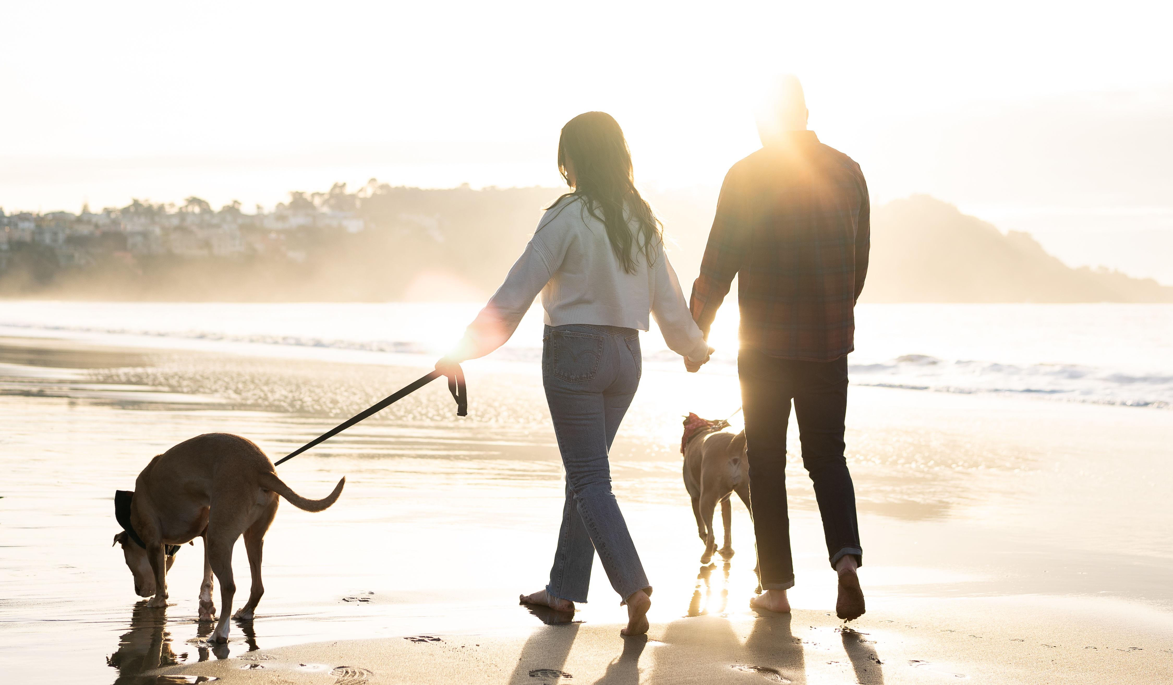 Hero Slideshow Image 3