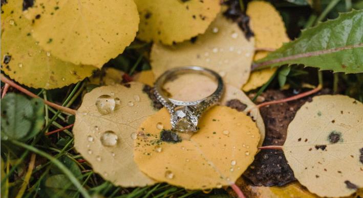 Footer image