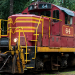 Skunk Train