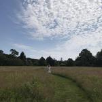 Polly Hill Arboretum