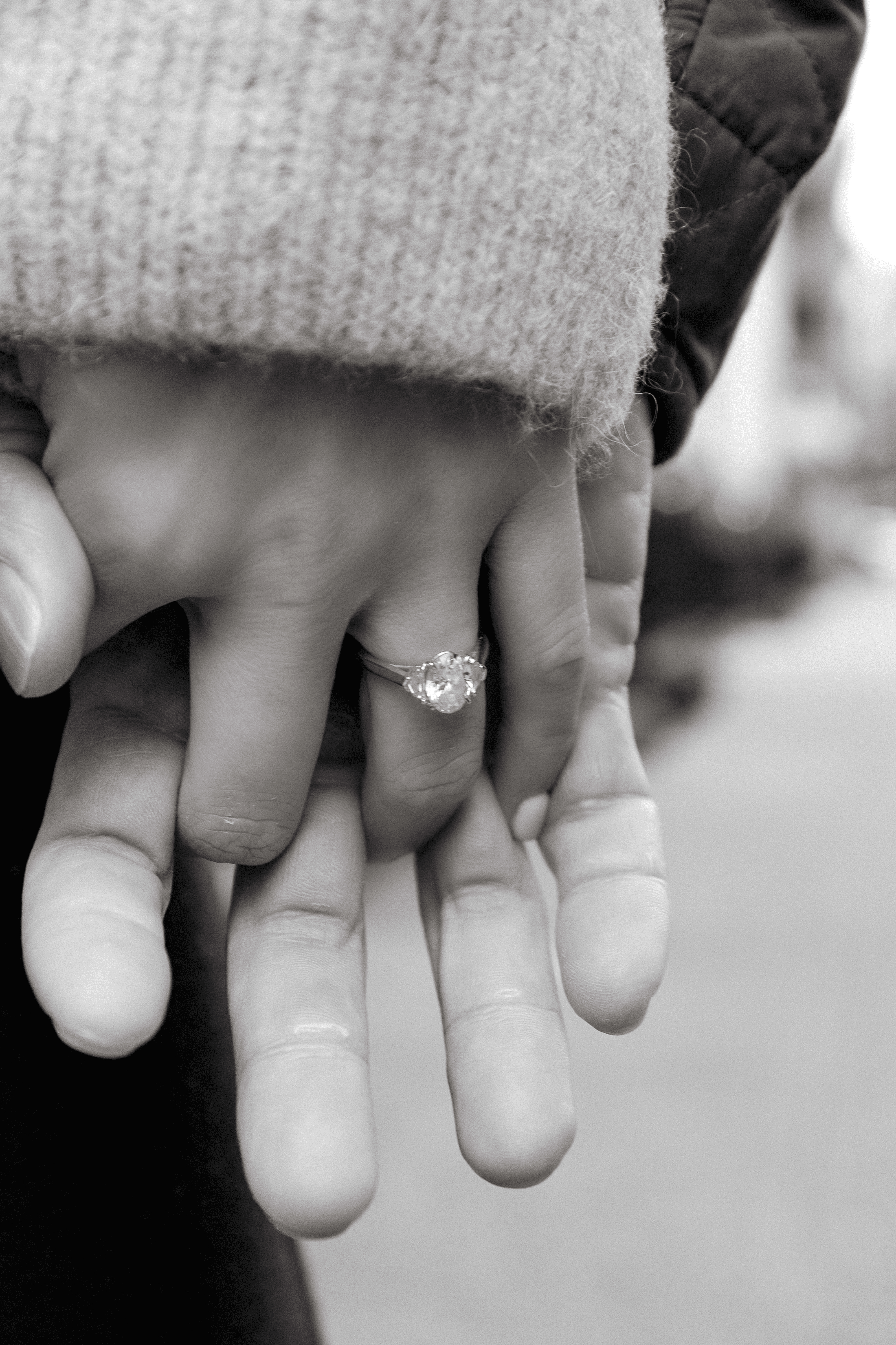 The Wedding Website of Bridget Pidoriano and Arthur Pidoriano