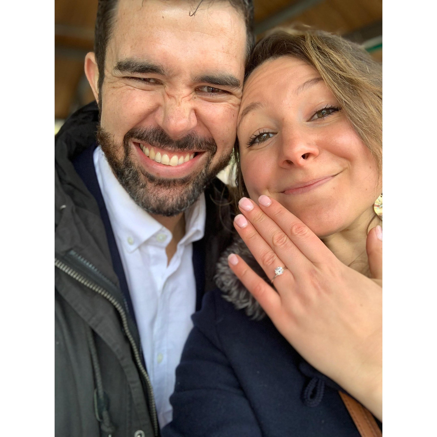 Day of Engagement, Lincoln Park Zoo
