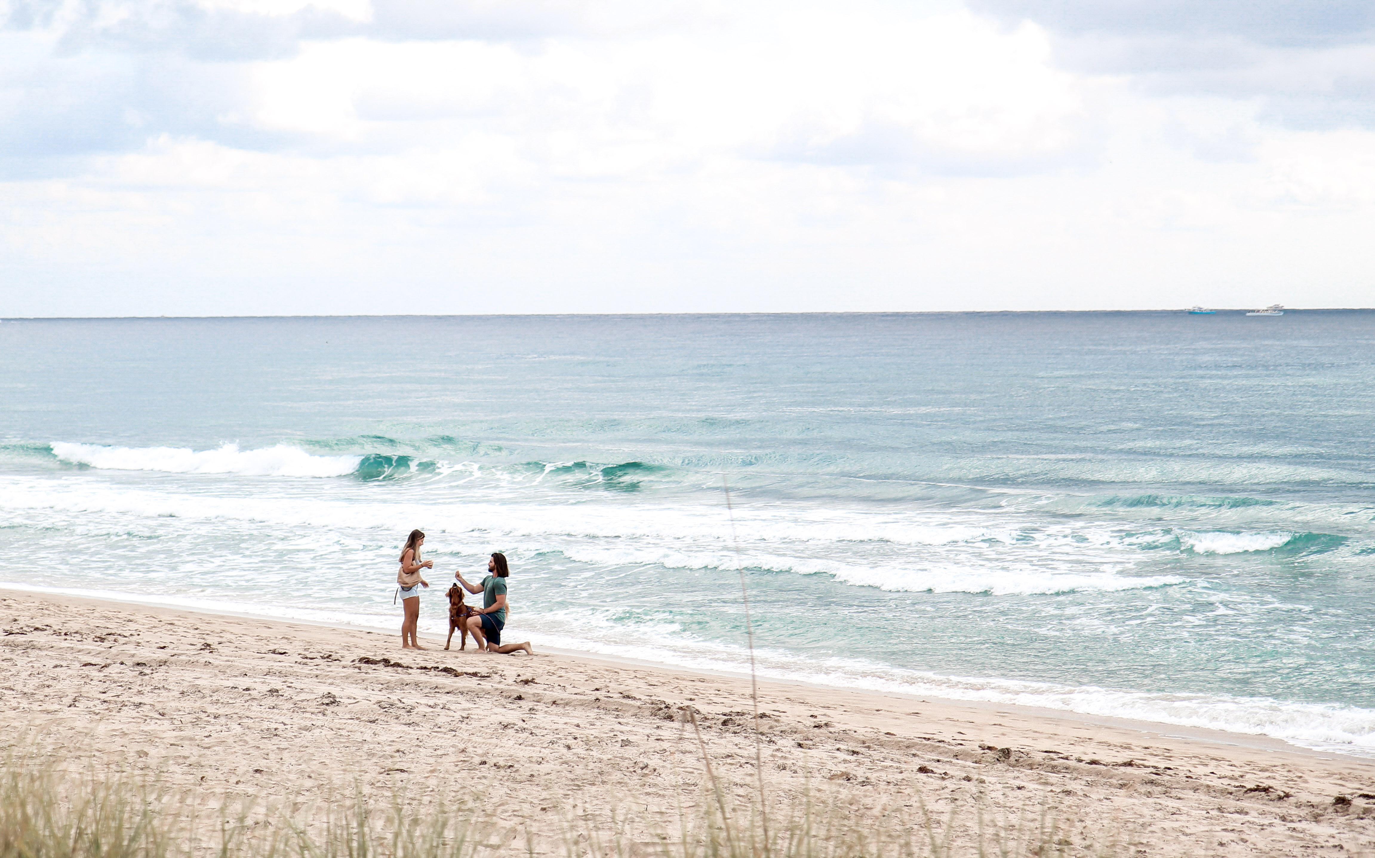 The Wedding Website of Logan McIntosh and Stephanie Bratic