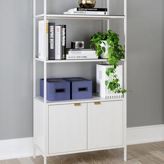 Deznee 2-Door Bookcase