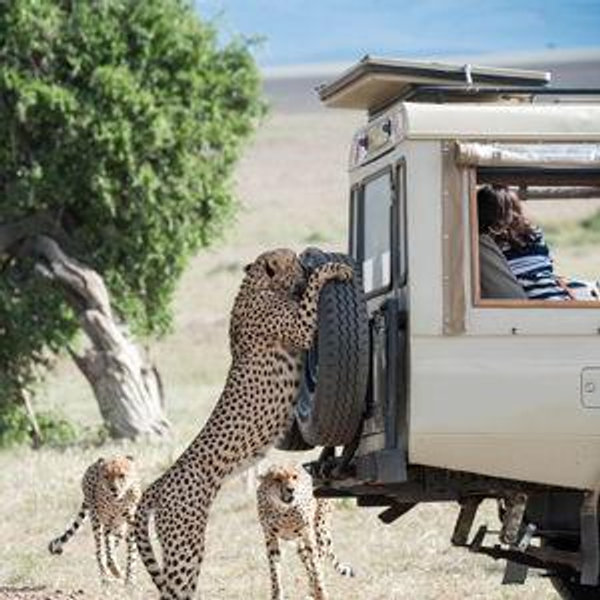 Honeymoon Fund - South Africa