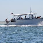 Monomoy Island Excursions