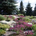 Yampa River Botanic Park