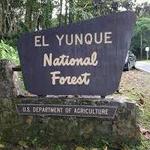 El Yunque National Forest