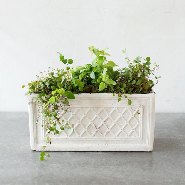 Lattice Terracotta Trough