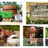Woodside Farm Creamery