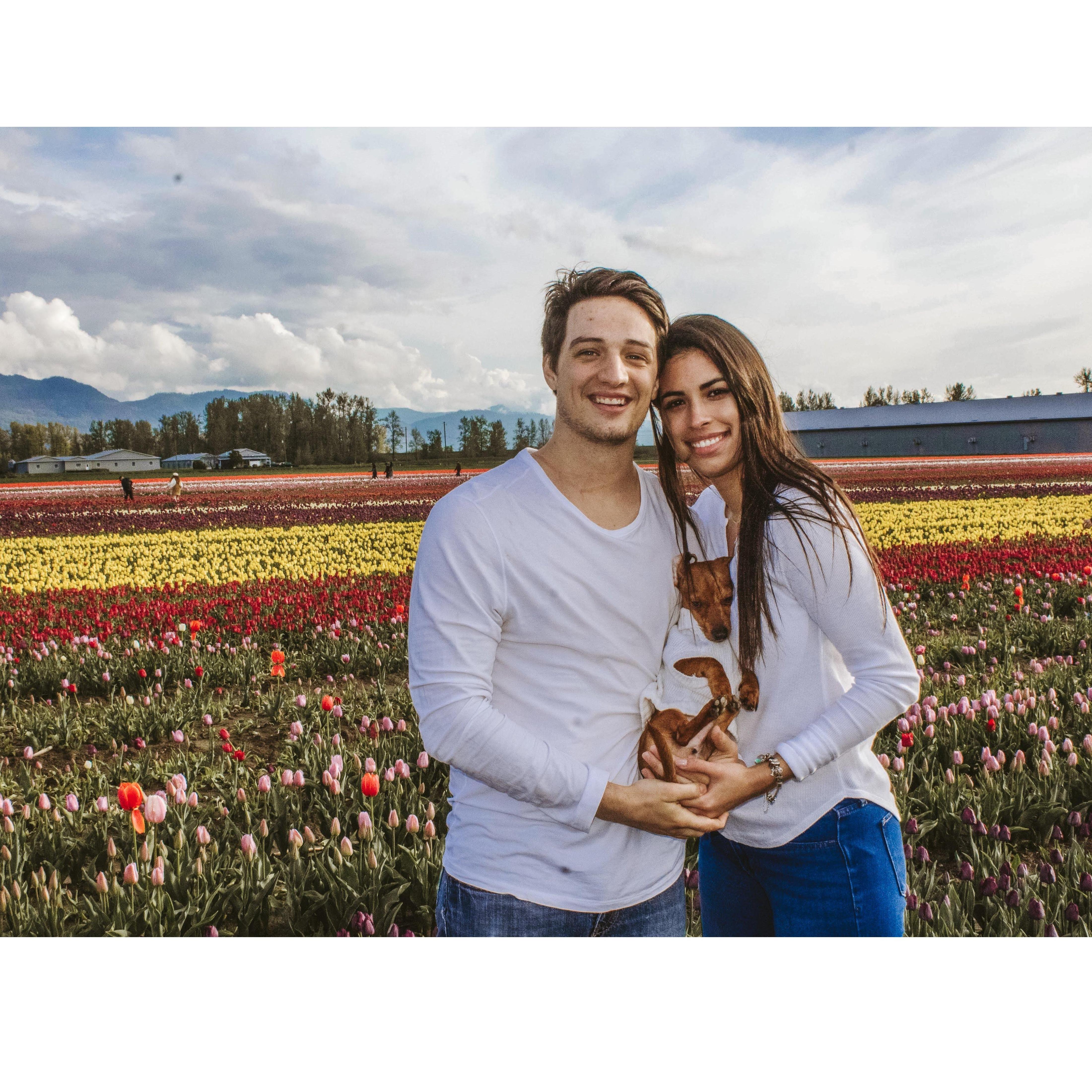 Visiting the flowers in Chilliwack