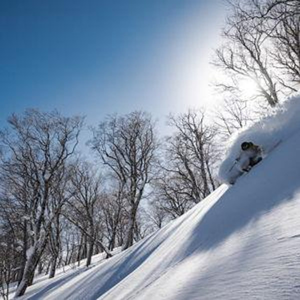 Ja-Pow (Japan) Honeymoon Fund! (Our Most Wanted!)