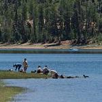 Duck Creek Village