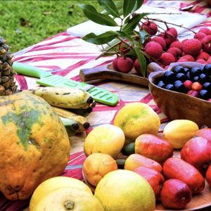 Island Dining Fund