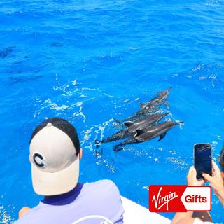 Dolphin Cruise & Snorkeling Tour in Kealakekua Bay for 2 - Hawaii