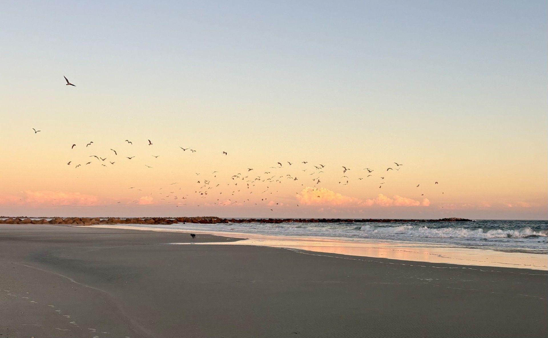 The Wedding Website of Julia Isley Eckel and Robert William Schuett