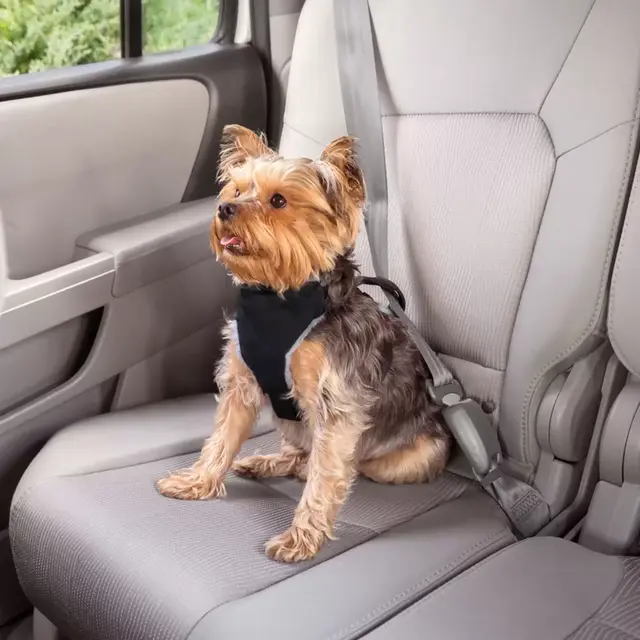 Premier Pet™ Small Dog Car Safety Harness in Black
