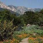Santa Barbara Botanic Garden